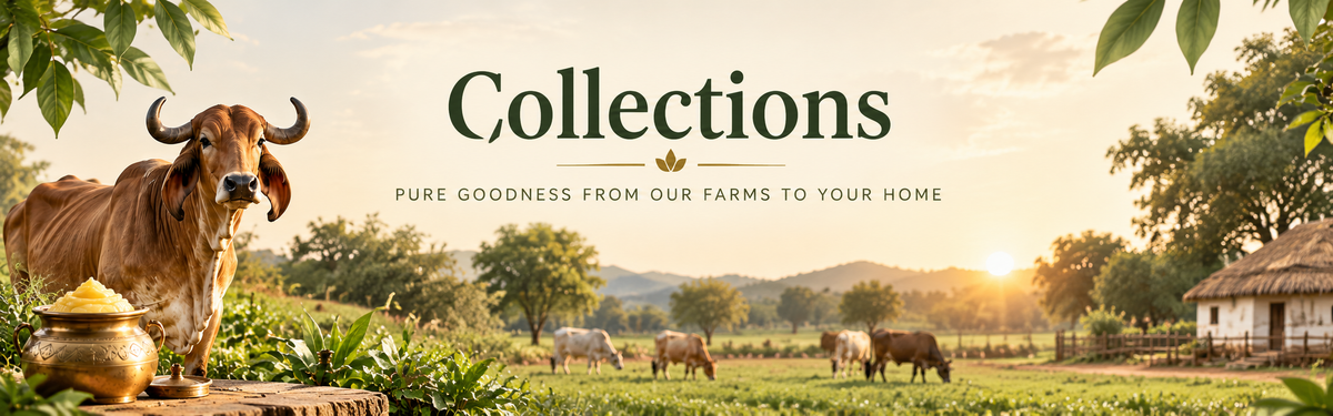 collections banner in collection page